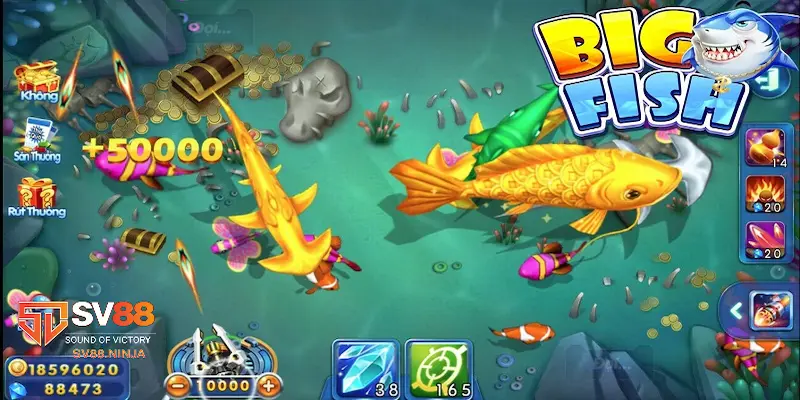 Bắn cá Bingo Giới thiệu tổng quát về game Bắn cá Bingo