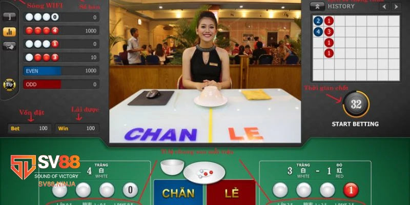 Xóc đĩa live Các loại cược phổ biến trong Xóc Đĩa live